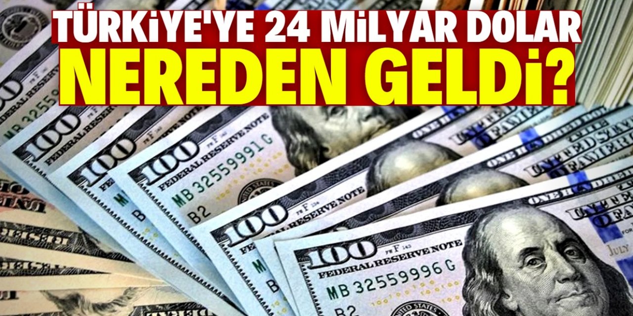 Türkiye'ye 24 milyar dolar nereden geldi?