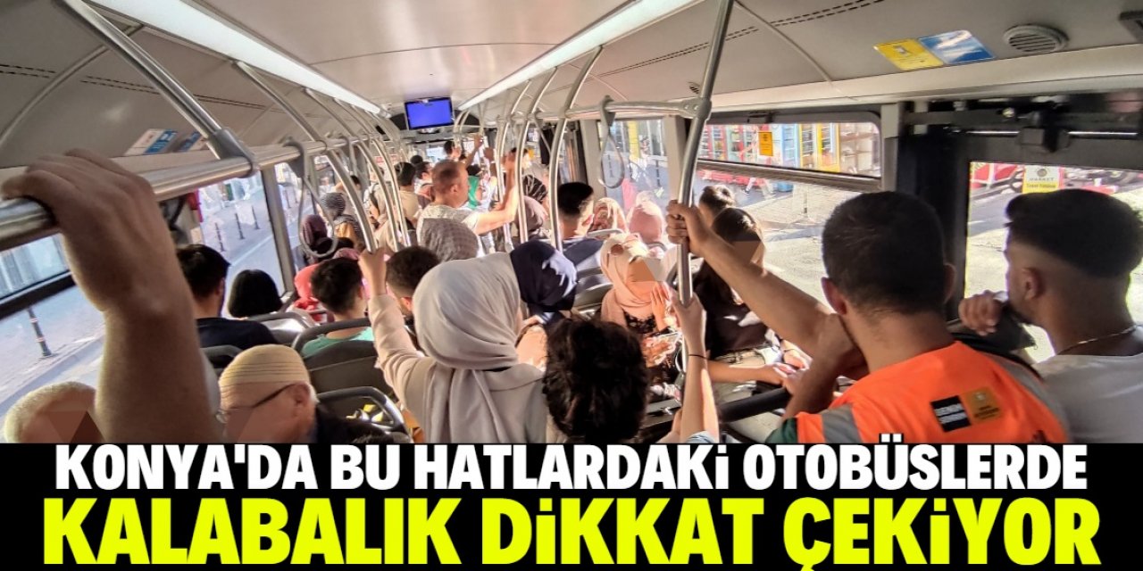 Bazı hatlardaki konforu bu hatlarda bulmak olanaksız