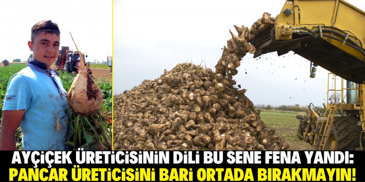 Pancar üreticisini ortada bırakmayın!