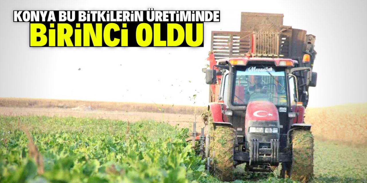 Konya 14 bitkinin üretiminde birinci oldu