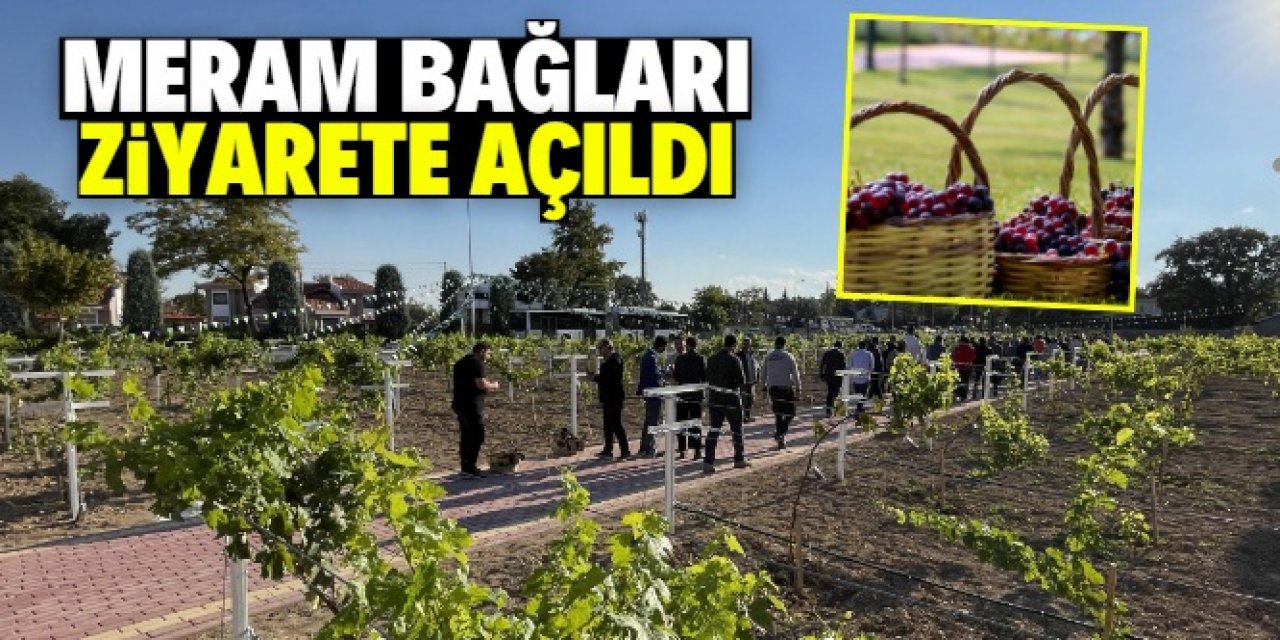 Konya kent merkezine bin adet üzüm ve 200 adet meyve ağacı dikildi