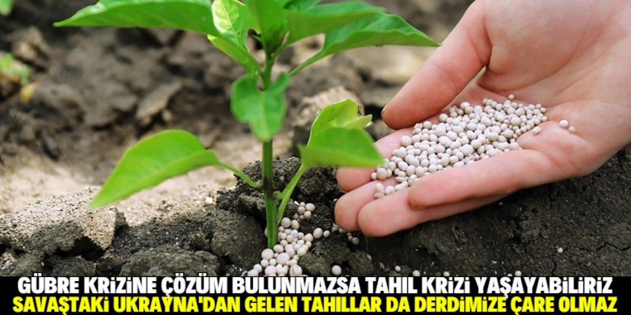 Pancar taban fiyatı ve gübre krizi!