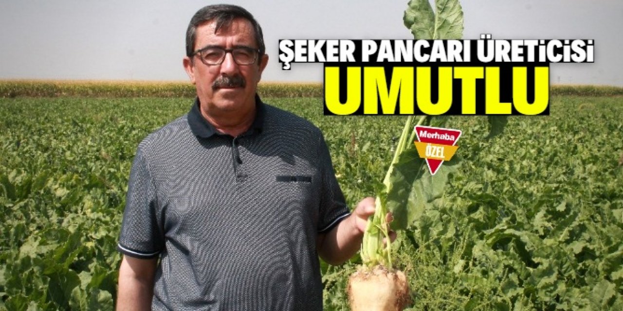 Konyalı şeker pancarı üreticisi umutlu