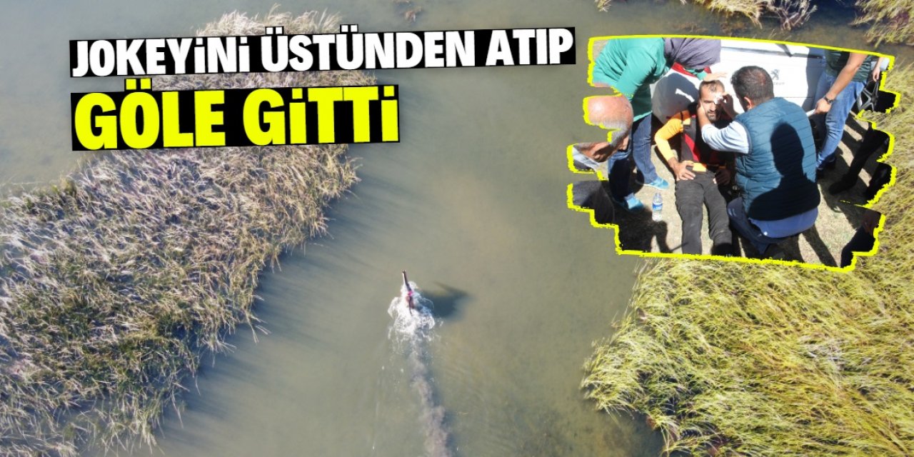 Konya 'Artro Ahmet' isimli atı konuşuyor: Jokeyini üstünden atıp göle gitti