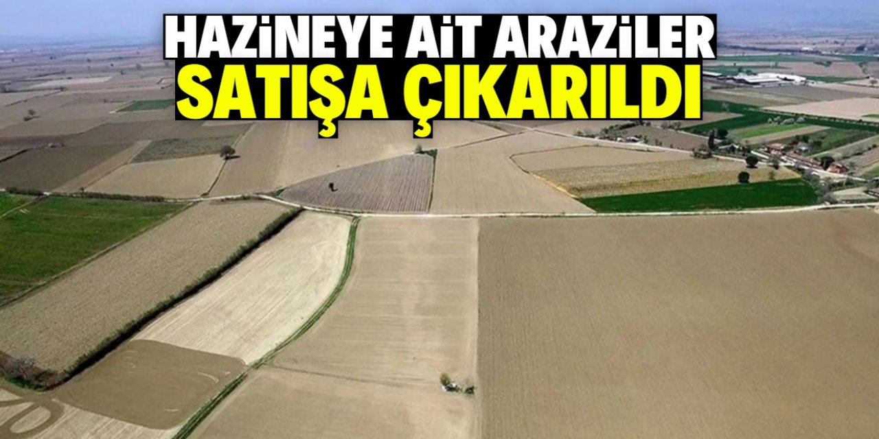 16 ilde çok sayıda kamu arazisi satılacak