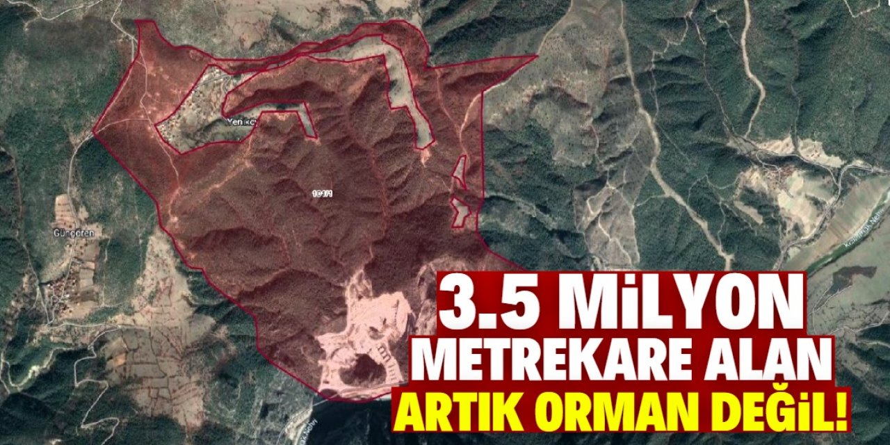 3.5 milyon metrekare alan orman sınırı dışına çıkartıldı