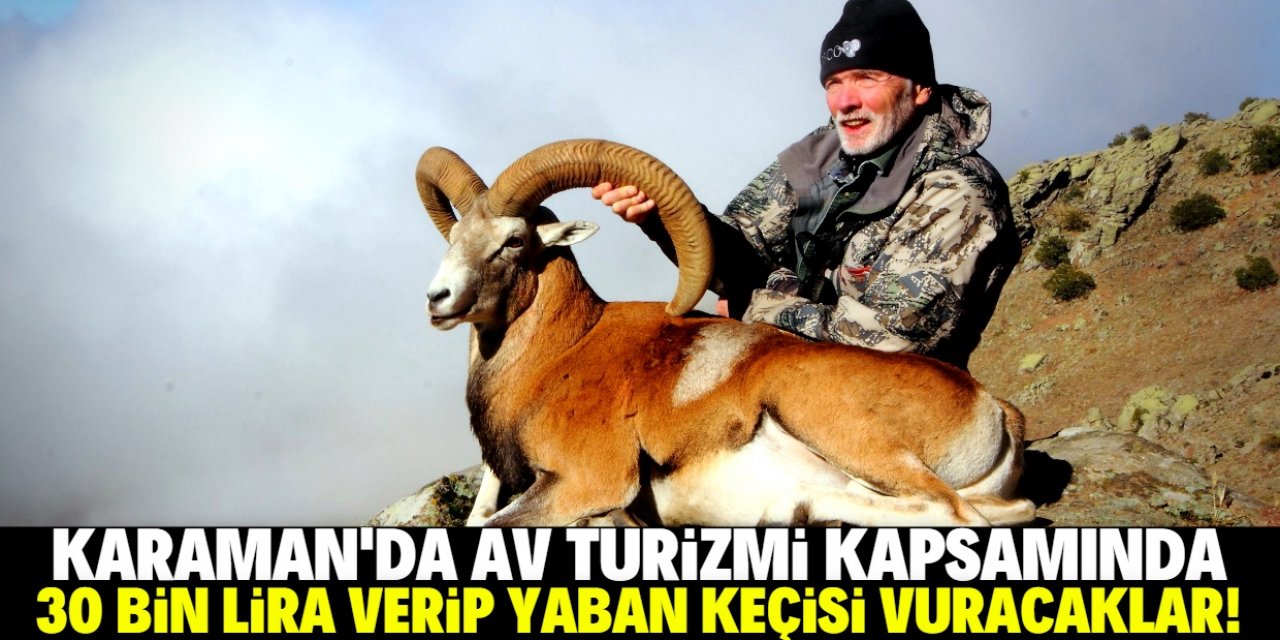 Bakanlık ihaleye çıktı: 30 bin lirayı veren yaban keçilerini vuracak!