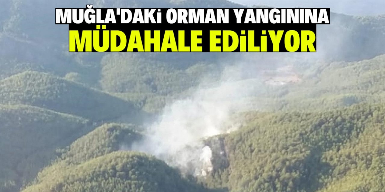 Muğla’da orman yangını: Havadan müdahale ediliyor