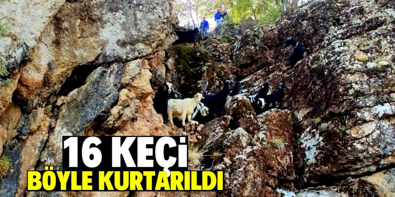 Konya Güneysınır'da dağda mahsur kalan 16 keçi böyle kurtarıldı