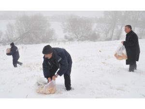 Zabıta, Sokak Ve Yaban Hayvanları İçin Doğaya Yiyecek Bıraktı