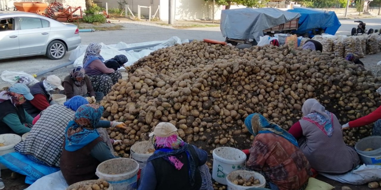 Hatunsaray’da patates üreticileri çok dertli