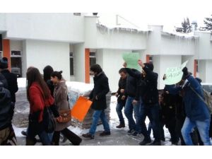 Aü’de Formasyon Tepkisi