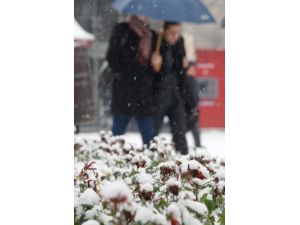 Kayseri’de Kar Yağışı Etkili Olmaya Başladı