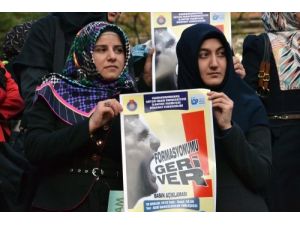 İlahiyat Öğrencilerinin Formasyon Tepkisi