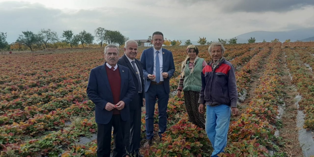 ‘Üreticilerin girdi maliyetleri azaltılmalı ‘