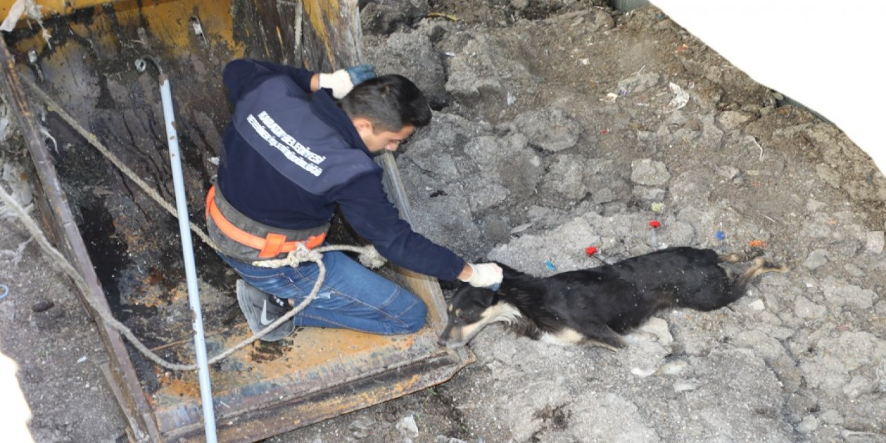 Konya'da atık su depolama çukuruna düşen köpek kurtarıldı