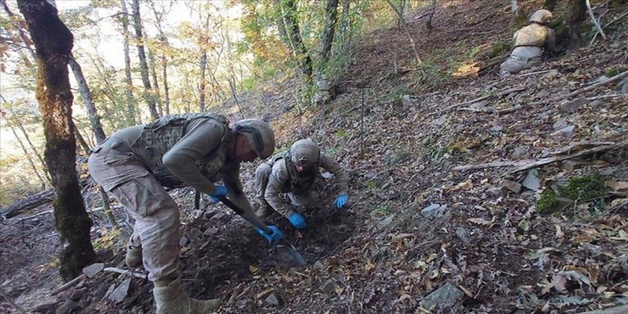 İçişleri Bakanlığından Amanoslar bölgesinde operasyon