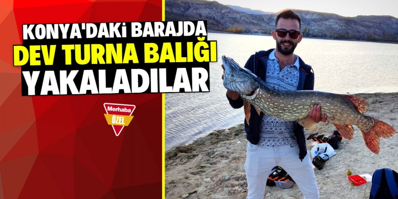Konya Altınapa Barajı'nda tutulan dev balık görenleri şaşırttı