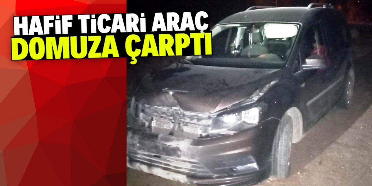 Ankara-Konya yolunda hafif ticari araç yola çıkan domuza çarptı