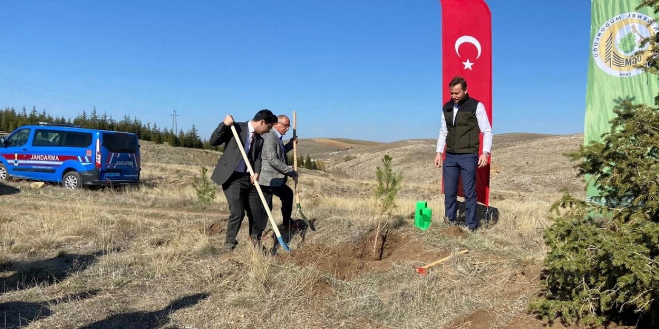 Yunak’ta fidanlar toprakla buluştu