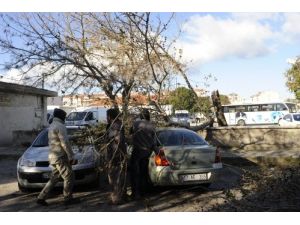 Çanakkale'deki Fırtınada Arabanın Üzerine Ağaç Evrildi