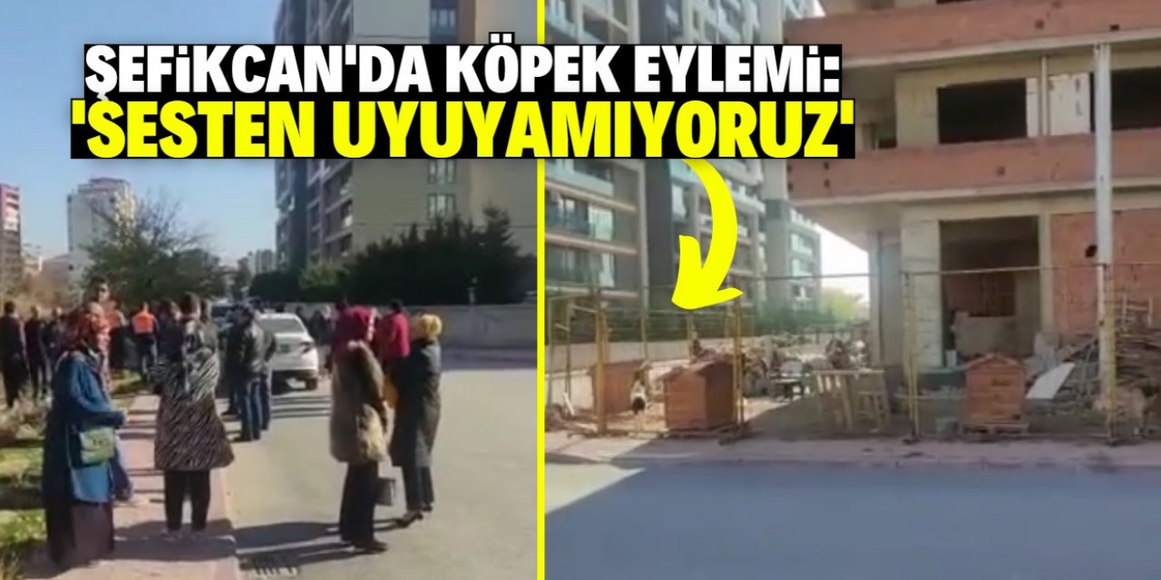 Konya Şefikcan’da köpek eylemi!