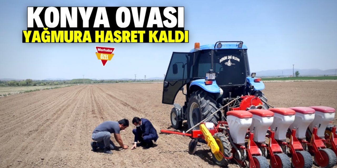 Konya Ovası yağmura hasret kaldı