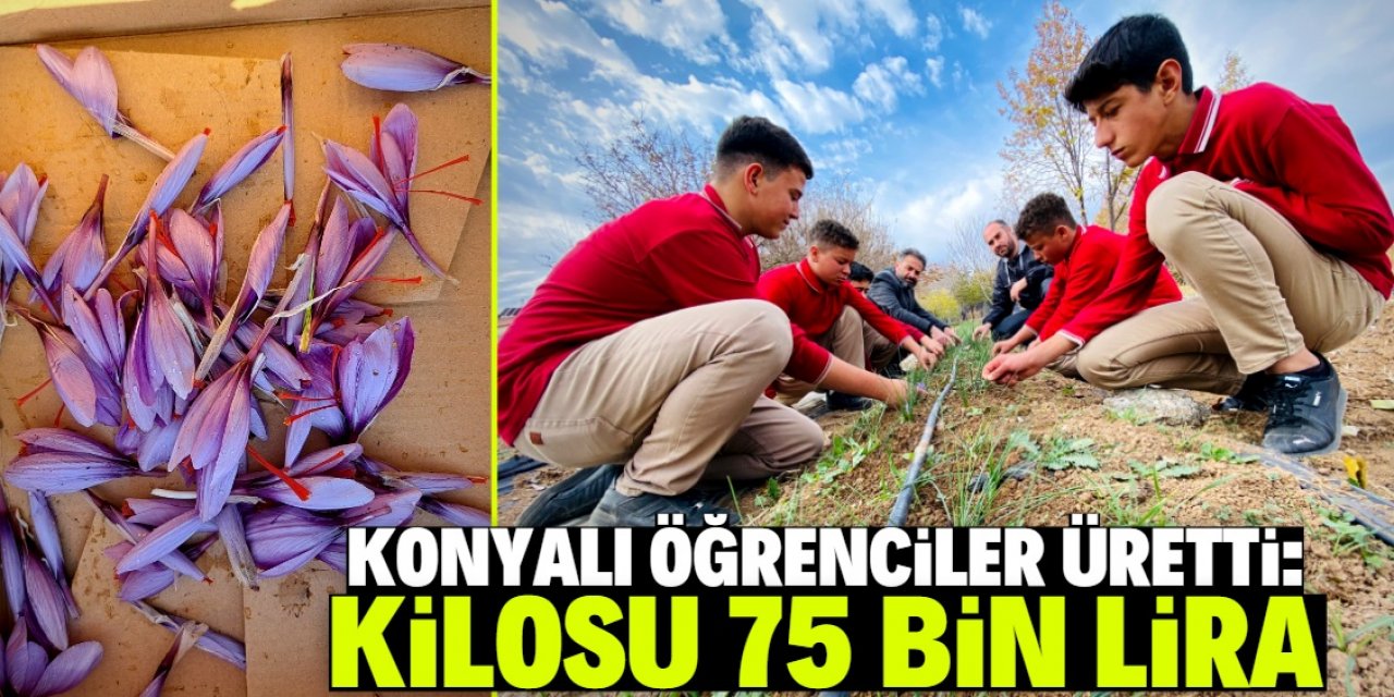 Konyalı öğrenciler kilosu 75 bin lira olan çiçeği okulda üretiyor