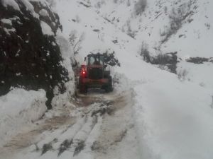 Yurtta Kış: Batman'da 15 Köy Ve 30 Mezranın Yolu Kapandı