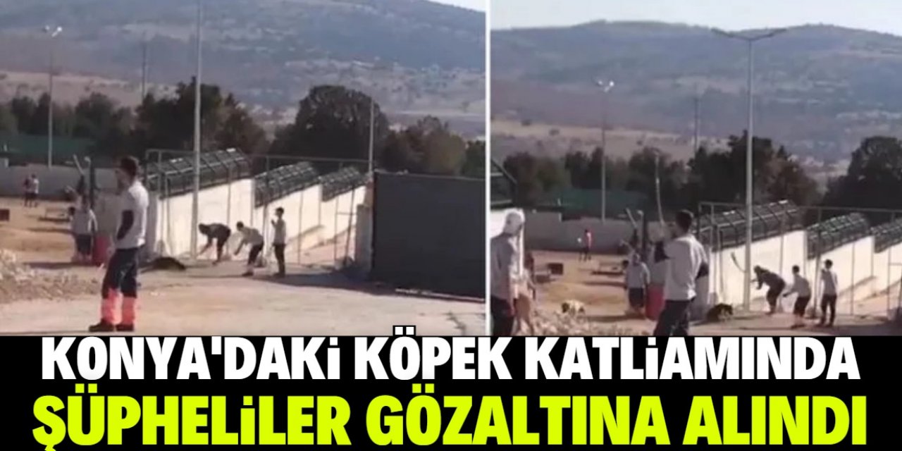 Konya'daki köpek katliamında şüpheliler gözaltına alındı