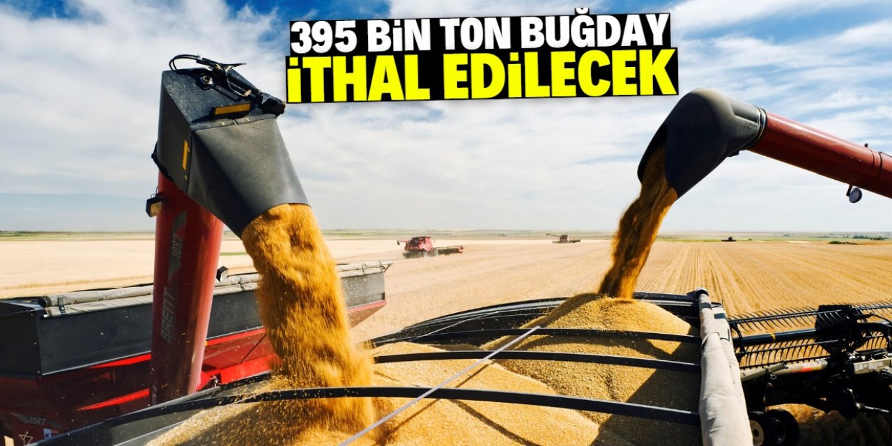 Türkiye 395 bin ton buğday ithal edecek