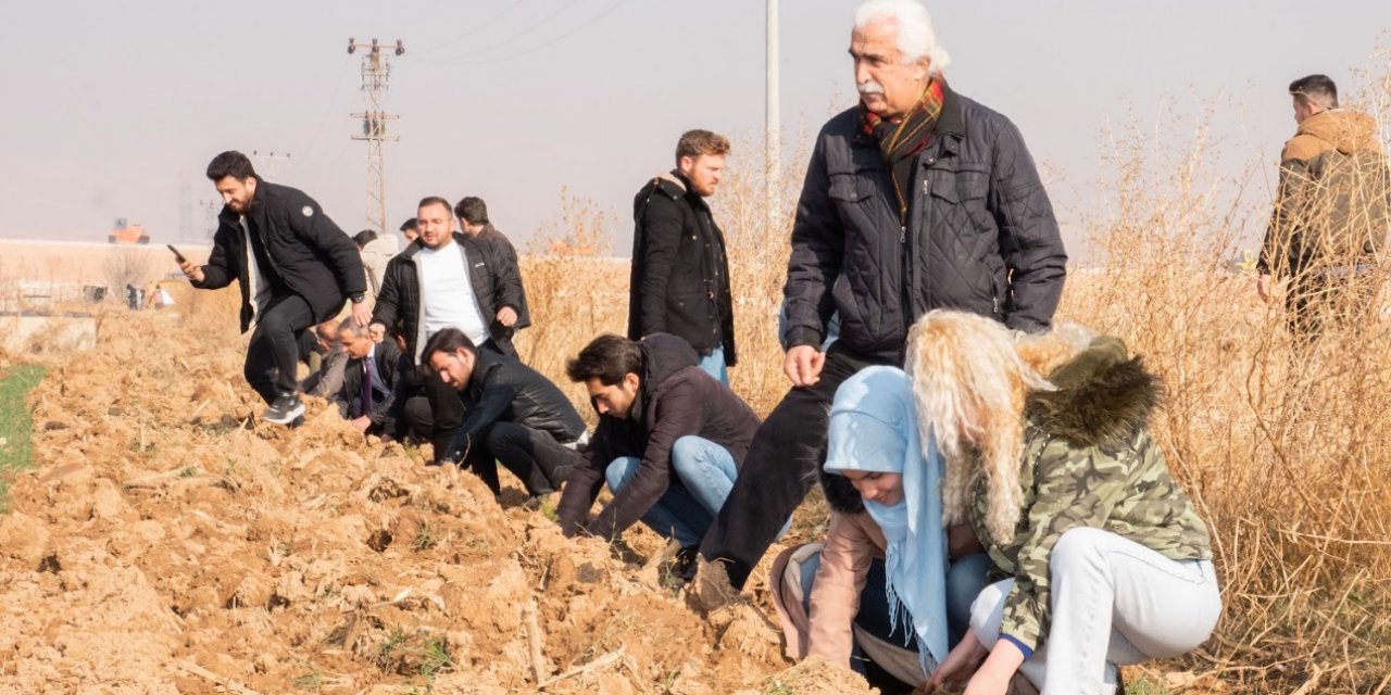 Konya Selçuklu'da bu noktaya 12 bin ağaç dikildi