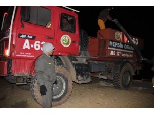 Mersin'de Orman Yangını