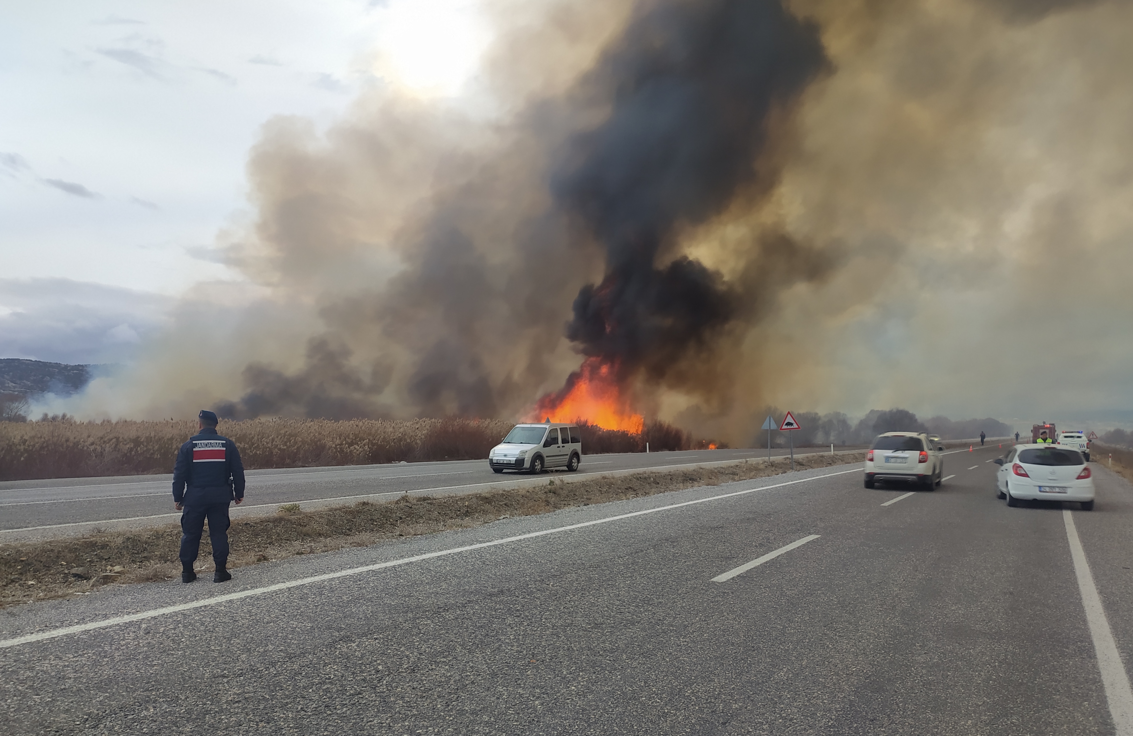 Beyşehir Gölü kıyısında sazlık alanda çıkan yangına müdahale ediliyor