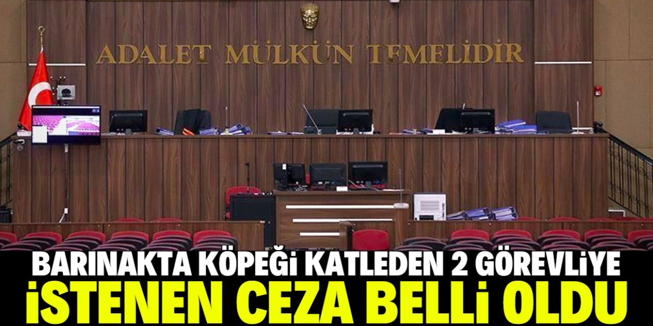 Konya'da barınakta köpeği öldüren 2 görevliye istenen ceza belli oldu