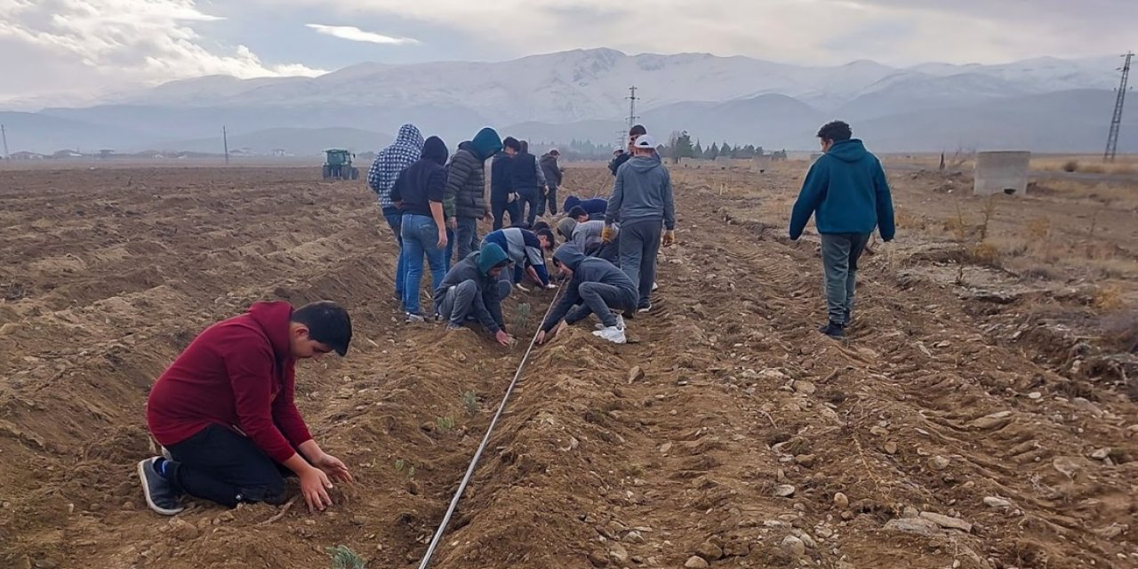 Konya'daki lisenin öğretmenleri ve öğrencileri 30 dönüm araziye lavanta dikti