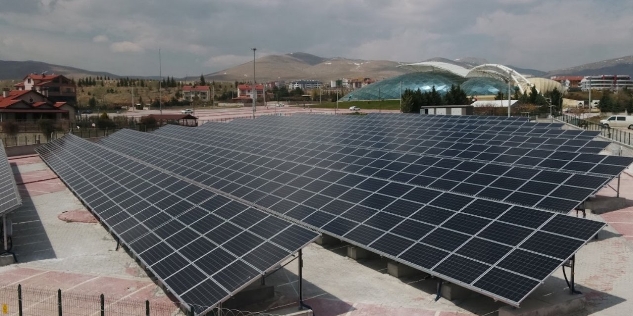 Konya belediyesi 20 bin ağacı bu yöntemle kurtardı