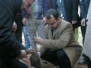 Kızıltepe'de Her Birey İçin Bir Fidan Dikilecek