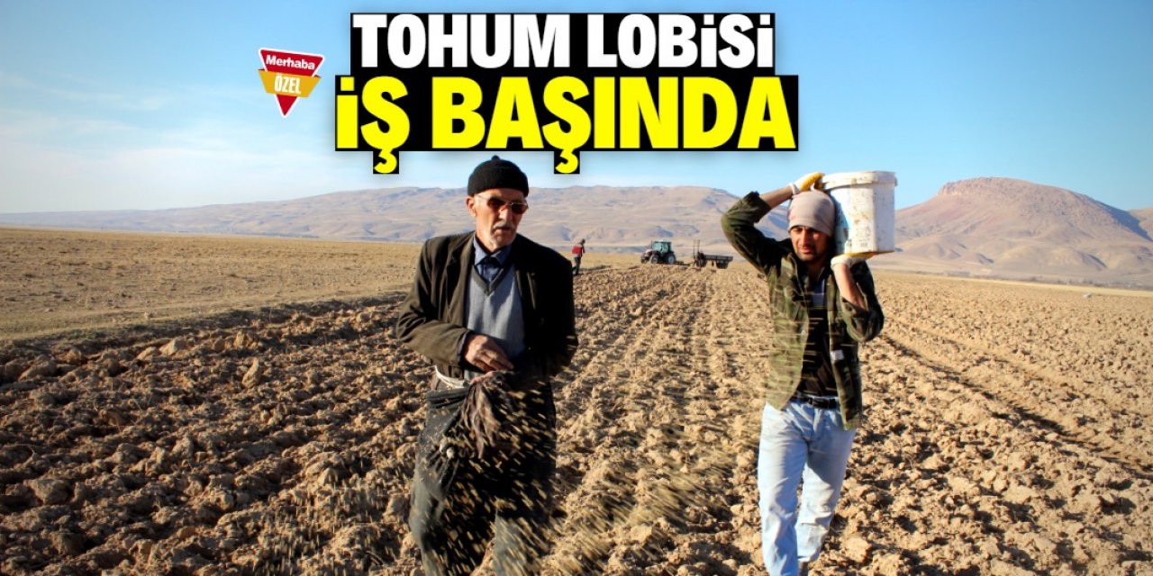 Tohumculara ‘fırsatçı’ iddiası