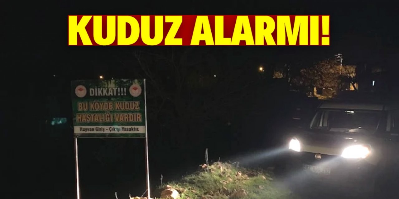 Bir köyde daha kuduz alarmı!