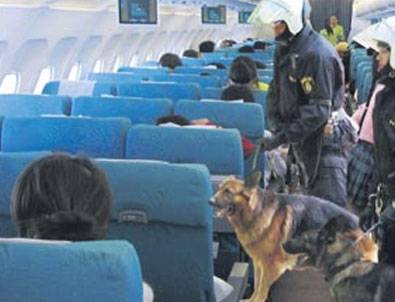 Türk yolcuları köpeklere aratıyorlar