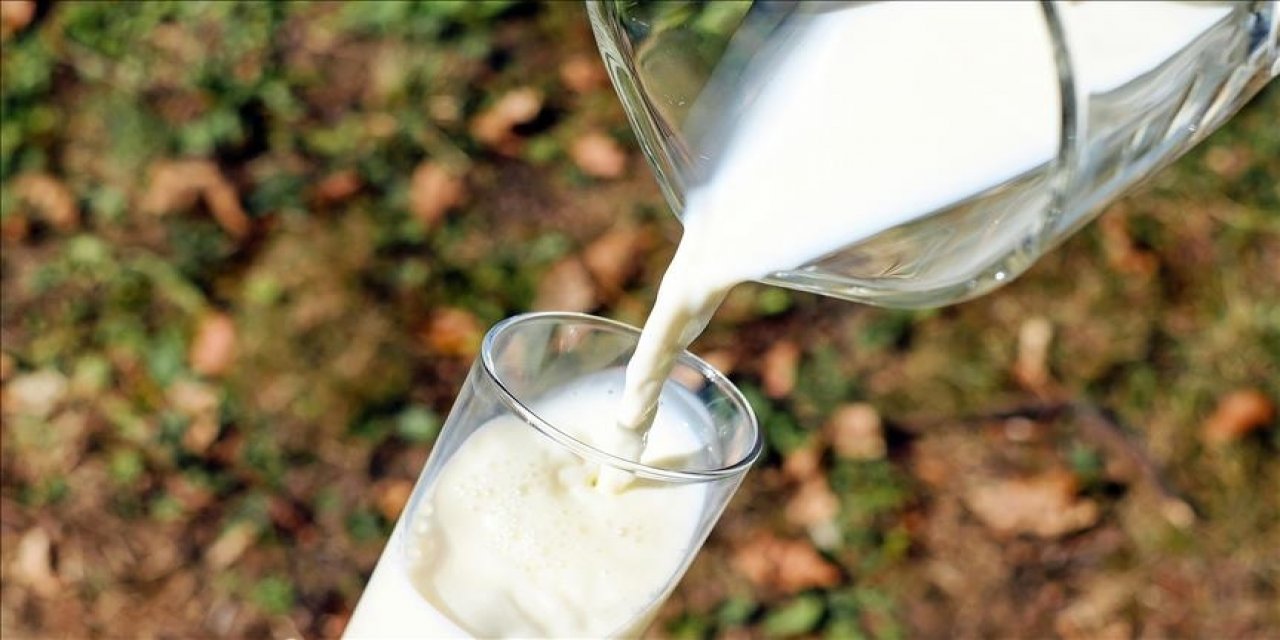 Süt üreticileri koruyucu tedbirler alınmasını istiyor