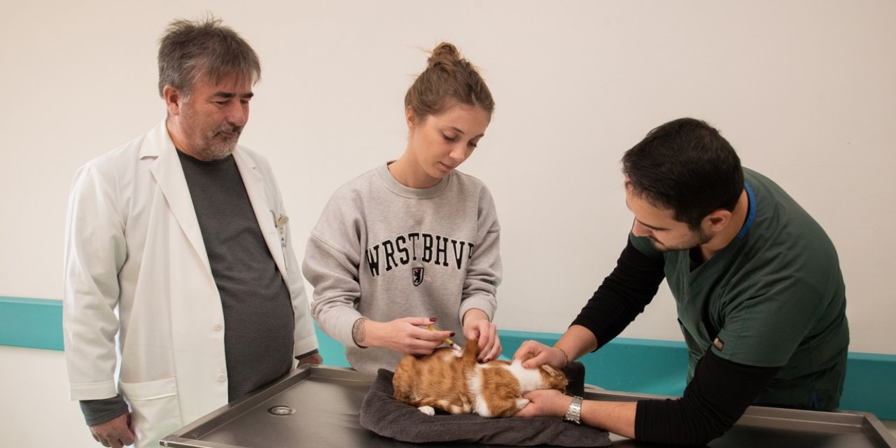 Konya'daki veteriner fakültesinde bu yıl 20 bin 250 hayvanın tedavisi yapıldı