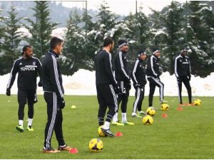 Beşiktaş, Taktik Çalıştı