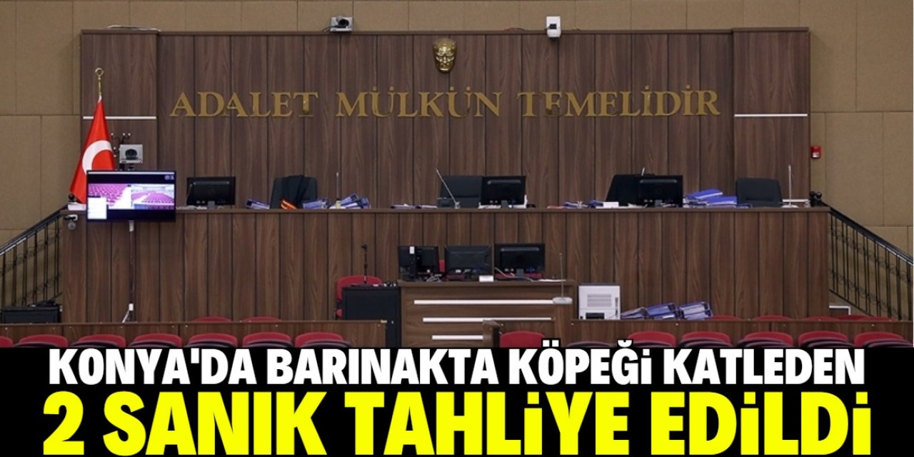 Konya'da barınakta köpeği katleden 2 sanık tahliye edildi