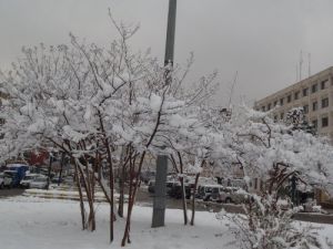 Batman'da En Güzel Kar Manzarası Çekene Ödül