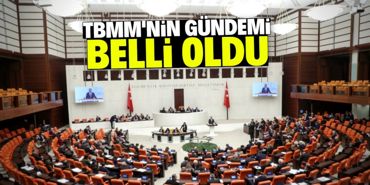 TBMM'nin gündemi belli oldu