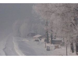 Ağrı’da Karla Mücadele Çalışmalarına Hız Verildi