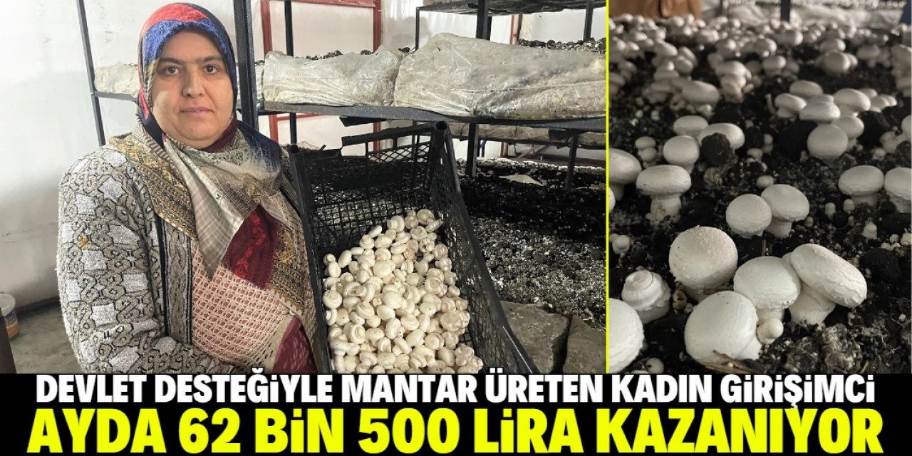 Kadın girişimci devlet desteğiyle mantar üretti! Ayda 62 bin lira kazanıyor