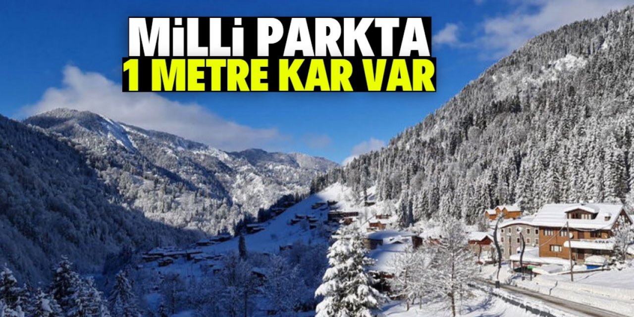 Milli parkta 1 metre kar var